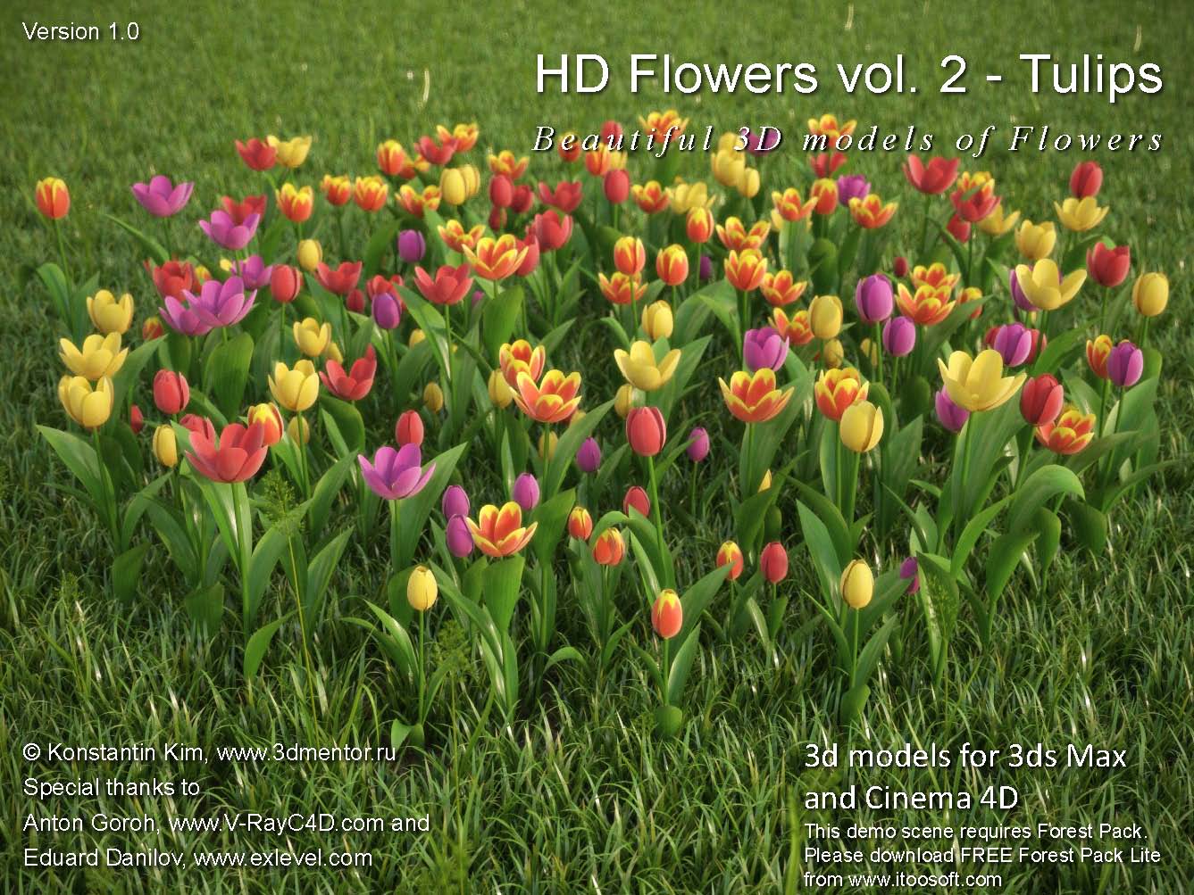 HD_flowers vol.2 - 花3d模型/郁金香3dsmax模型/高精花草/3d模型 商务/设计服务 设计素材/源文件 原图主图