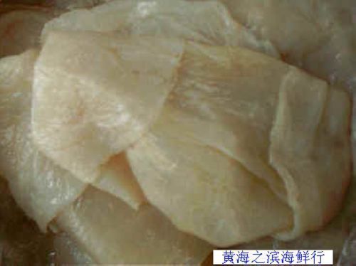 连云港特产海鲜/优质海蛰/海蛰皮/海牛皮特价1斤18元 4件全国包邮