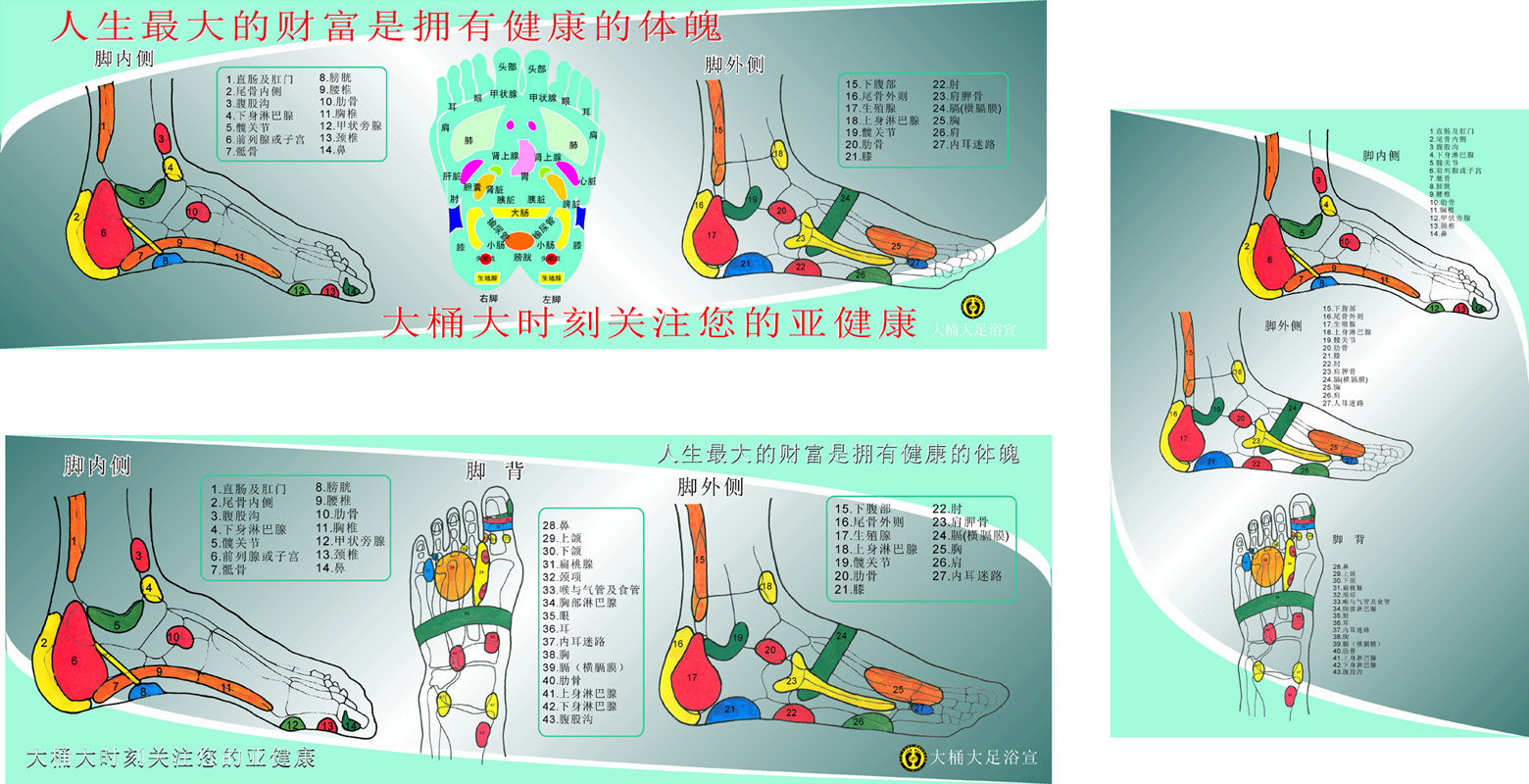 569海报印制海报展板素材360脚底穴位图(1) 非高清图