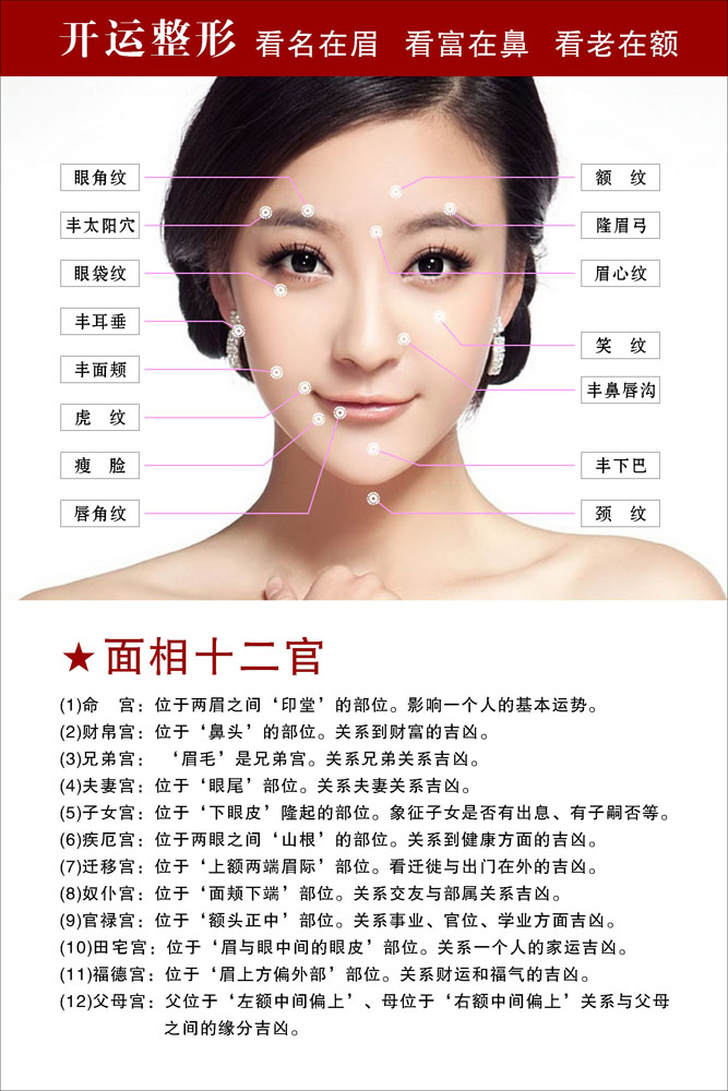 海报印制470设计展板素材102面相图 面相十二官定制