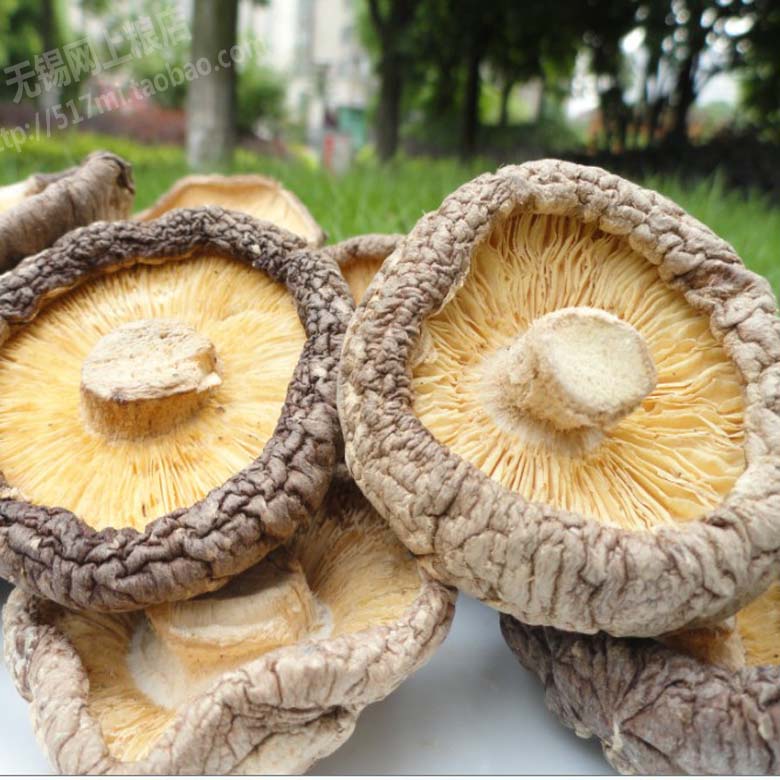 3½ï°üÓÊ ½ð¹ÚÍÆ¼ö лõ ÓÅÖÊÏã¹½250g ÎÞÎýÍøÉÏÁ¸µê