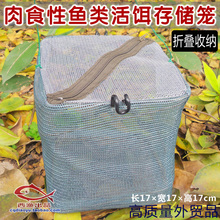 可折叠收纳 肉食性鱼类活饵存储笼 装活虾麦穗鱼泥鳅等活饵网养笼