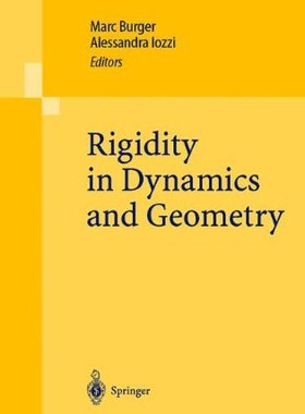 【预订】Rigidity in Dynamics and Geometry: C...
