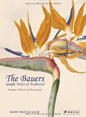 【预订】The Bauers Joseph, Franz & Ferdinand...