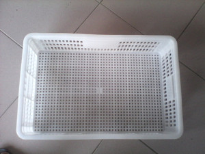 小鸡小鸭周转箱面包食品周转箩周转箱出雏盘镂空冷冻盘包邮