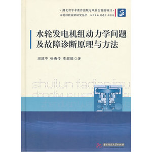 水轮发电机组动力学问题及故障诊断原理与方法
