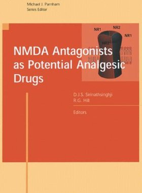 【预售】Nmda Antagonists as Potential Analgesic Drugs