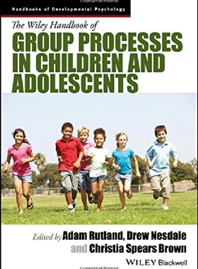 【预订】The Wiley Handbook of Group Processe...