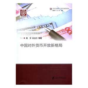 中国对外货币开放新格局 书店 周宇 银行学书籍 书 畅想畅销书