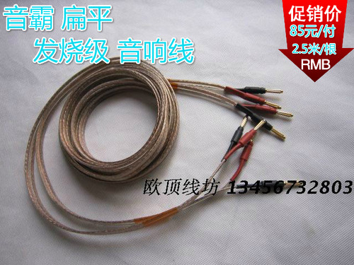美国霸radioshack进口发烧扁平6n纯铜音响喇叭线香蕉头音箱线