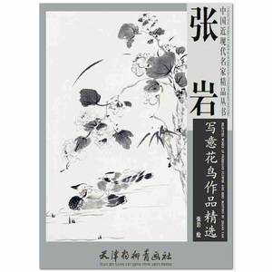 张岩写意花鸟作品精选 中国近现代名家精品丛书 天津杨柳青画社 写意花鸟画作品集 临摹范本 4开大本  正版图书