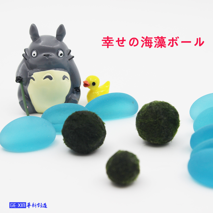 特价marimo幸福海藻球裸球 创意水培迷你植物微景观生态瓶植物