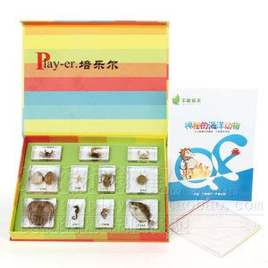 新款神秘的海洋动物行幼儿园儿童科学实验室认识11种海洋动物包埋