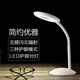 美容美甲专用冷光台灯美睫纹绣无影LED护眼充插两用充电台灯 包邮