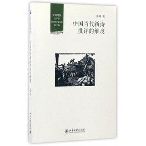 中国当代新诗批评的维度/中国现代文学馆青年批评家丛书