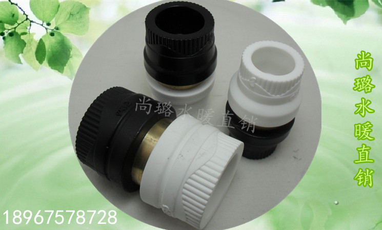 转换接头PPR转PE水管配件