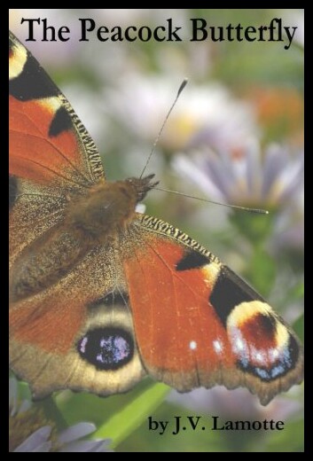 【预售】The Peacock Butterfly