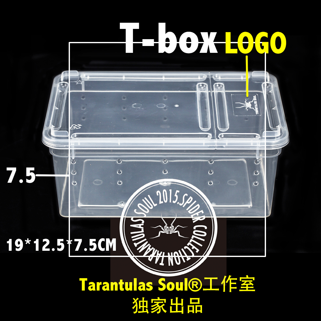 TS宠物饲养盒 爬虫饲养箱蜘蛛守宫蜥蜴蝎子蜈蚣蛇塑料乌龟