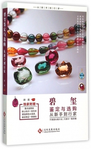 碧玺鉴定与选购从新手到行家 胡葳 编著 正版书籍   博库网