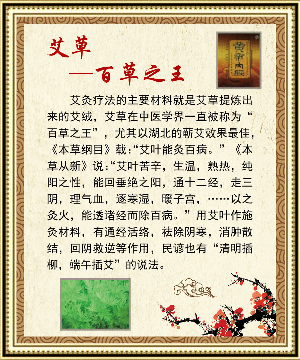 725海报印制展板写真喷绘贴纸794艾草简介