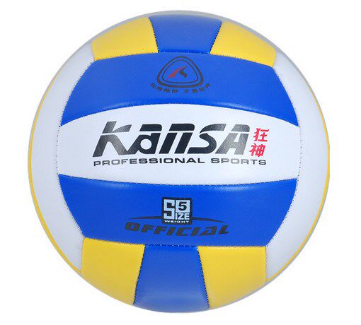 Ballon de volley-ball - Ref 2010400 Image 1