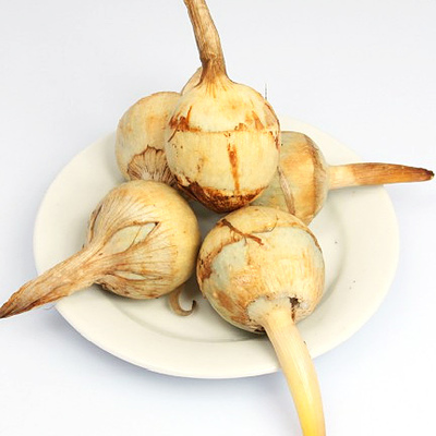 新鲜菌菇新鲜蔬菜新鲜慈菇京津冀