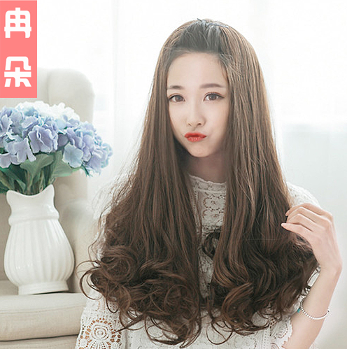 Perruque Les cheveux longs - Ref 2613582 Image 1