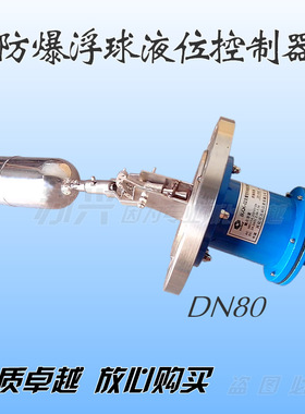 304/316L不锈钢防爆浮球液位控制器定做非标BUQK-010203包用5年