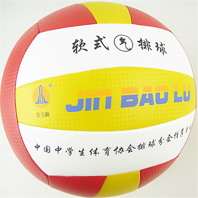Ballon de volley - Ref 2010194 Image 1