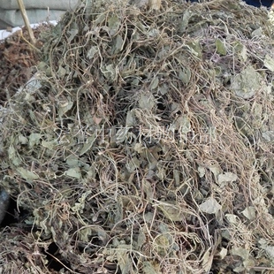 中药材 雷公根 积雪草 崩大碗 缺碗草马蹄草 破铜钱半边钱地浮萍