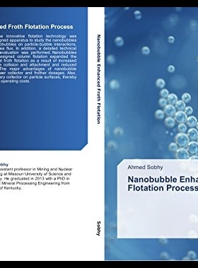 【预售】Nanobubble Enhanced Froth Flotation ...