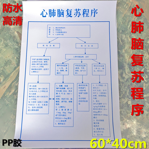 医院用心肺脑复苏程序挂图贴图图解医院诊所卫生室张贴海报图画