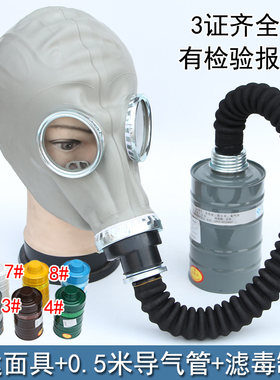 普达防毒全面具罩喷漆化工消毒甲醛火灾消防防毒面具劳保面罩