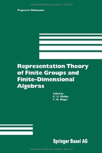 Theory Finite and Representation Groups Fin... 预售