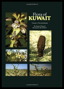 Vol Kuwait 预售 Flora