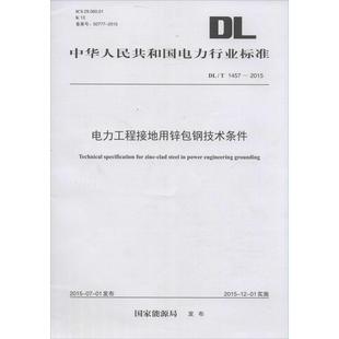 書籍 電力工程接地用鋅包鋼技術(shù)條件 正版 國家能源局 發(fā)布 新華書店旗艦店文軒官網(wǎng) 新華文軒 中國電力出版 社