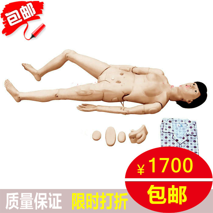 包邮医用模拟人模型组合式护士假人示教操作模型护理人体模型女性