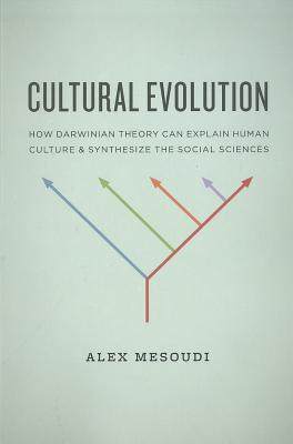 美国库房发货，通常付款后5-8周到货！