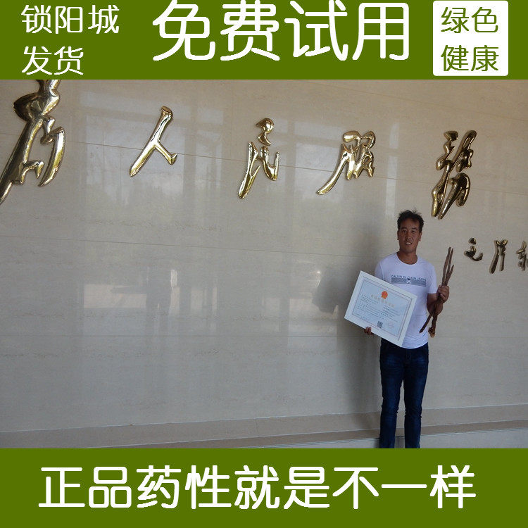 正宗甘肃金锁阳男士泡酒 锁阳片 粉 补茶泡酒配玛卡淫羊藿