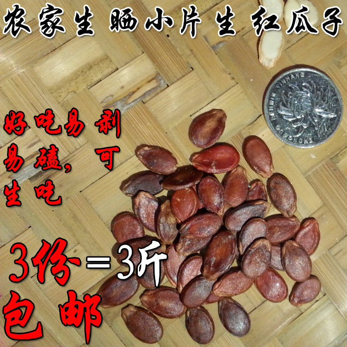 农家广东（客家）土产特产生晒小片生红瓜子500g 3份=3斤包邮