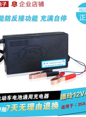 12V40A汽车电瓶充电器 德玲电动车充电器12V40A H 蓄电池充电机