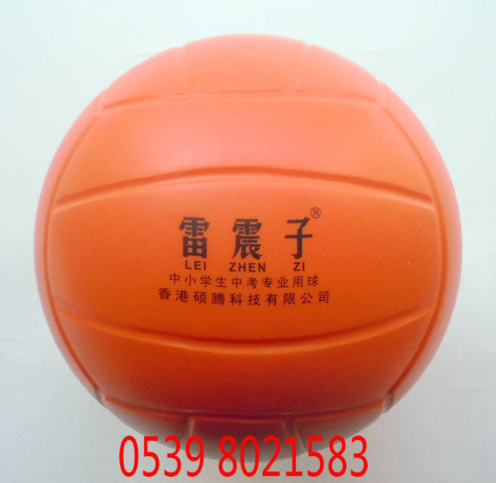 Ballon de volley-ball - Ref 2011013 Image 1