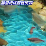 ͸�{�����b�ʯ���]