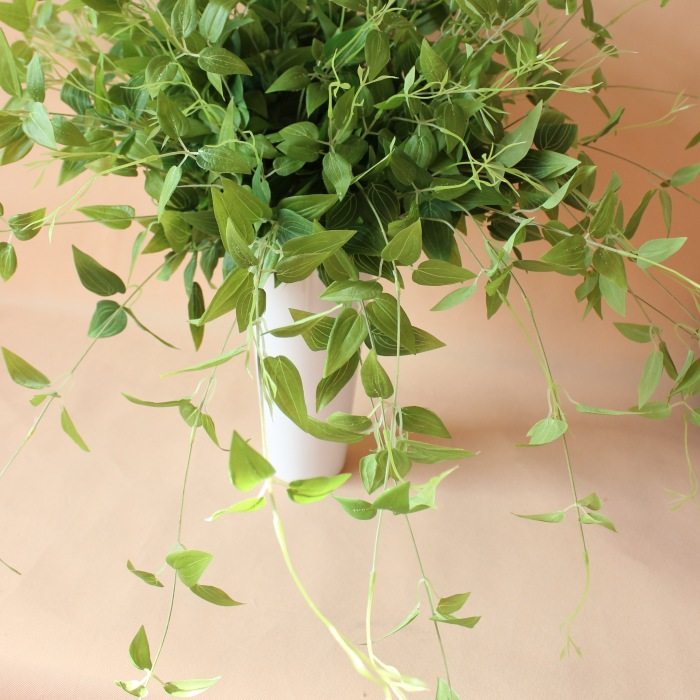 清仓特价摄影拍摄仿真绿叶植物  装饰家居仿真 仿真绿吊兰叶