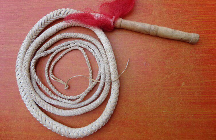 Article équitation - Ref 1382270 Image 1