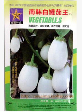 蔬菜四季种子盆栽白蛋茄
