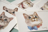 明信片 超萌 文静系列 nala猫