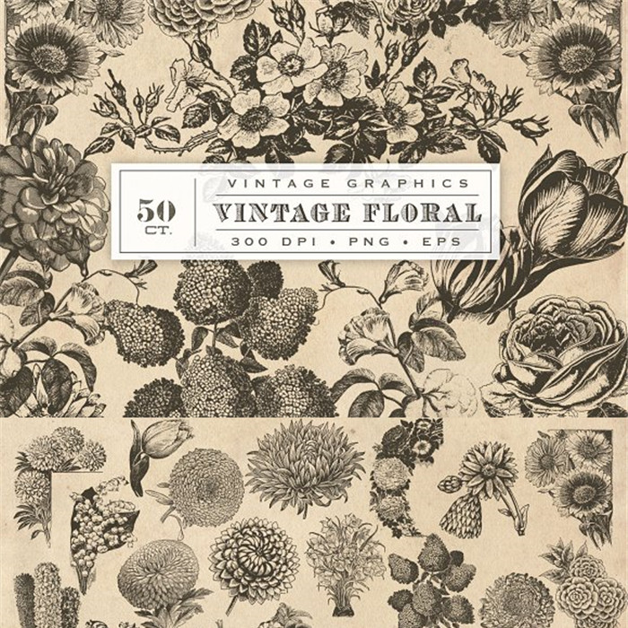 A2584矢量50朵复古植物花朵线稿线条图 AI设计素材含PNG高清图