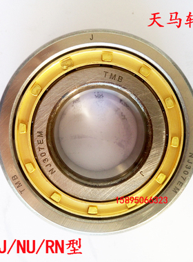 TMB 天马轴承NJ219M