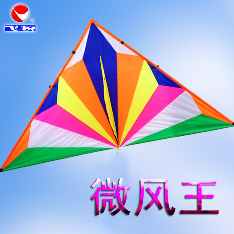 飞悦微风王潍坊大型成人微风易飞风筝三角钻石长尾新款特大风筝